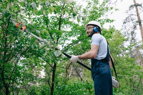 Top-Rated Tree Trimming Near Me for Healthy and Beautiful Trees