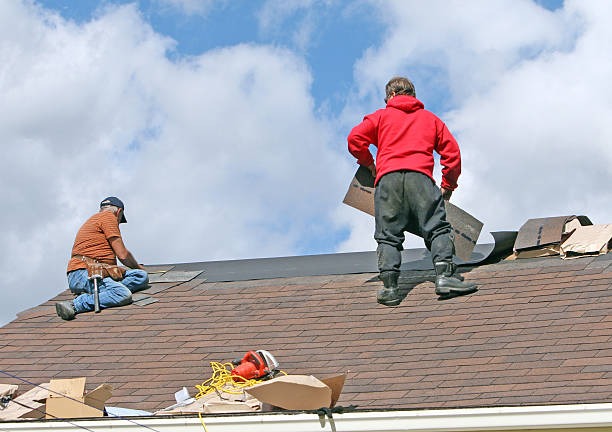 Leading Roofer Bellevue for Affordable Roof Maintenance
