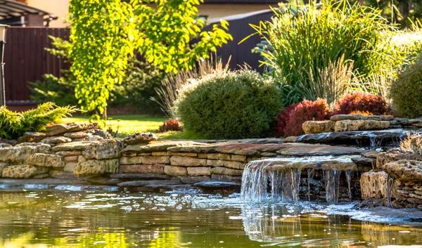 Maintain a Lush Lawn with Professional Lawn Maintenance